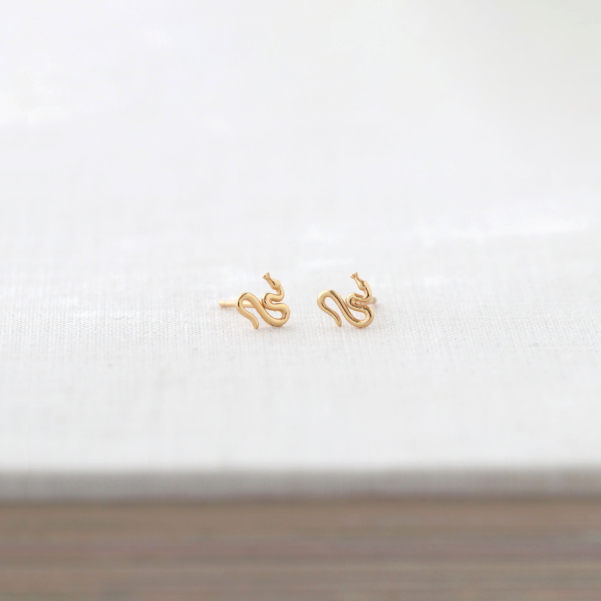 Tiny Snake Stud Earrings