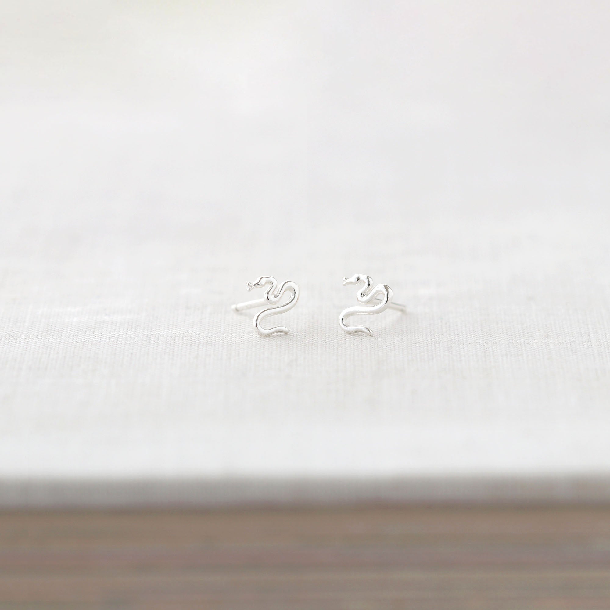 Tiny Snake Stud Earrings