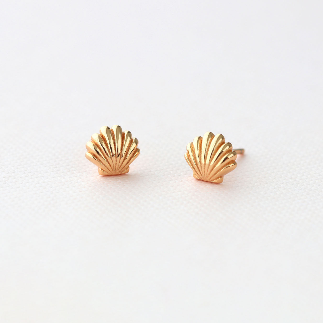 Seashell Stud Earrings