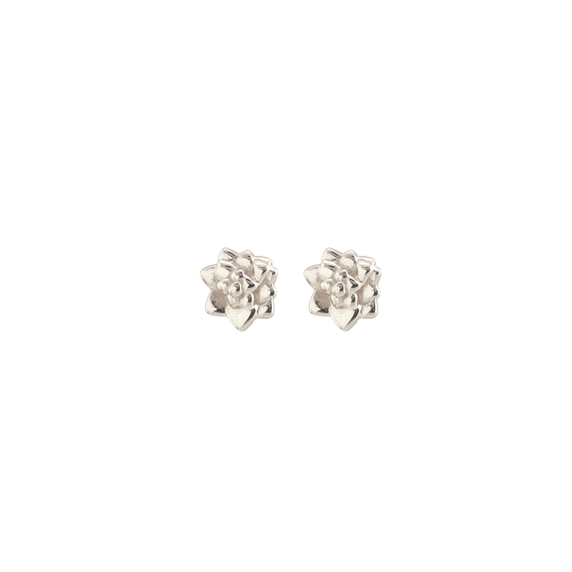 Succulent Stud Earrings