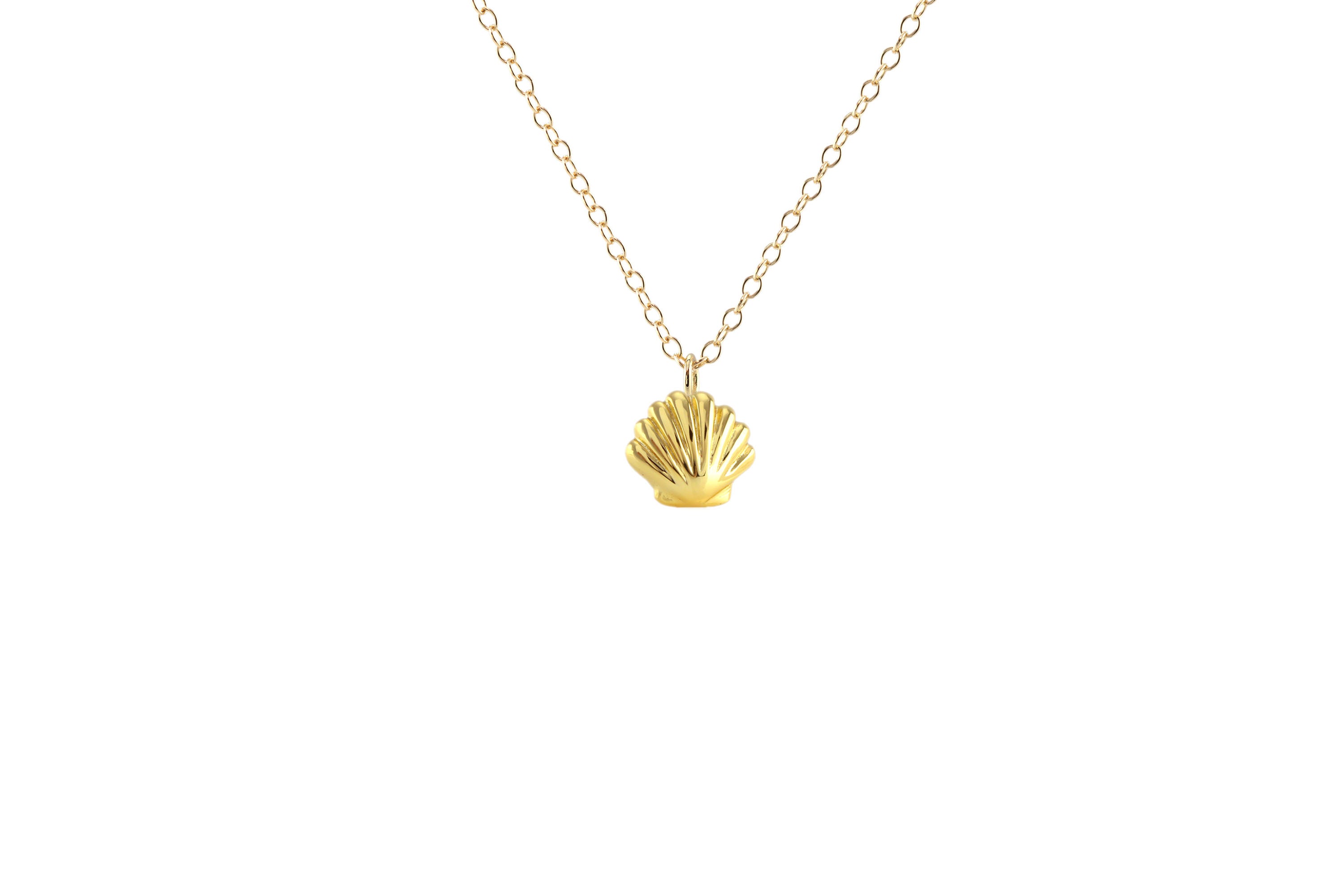 Seashell Necklace