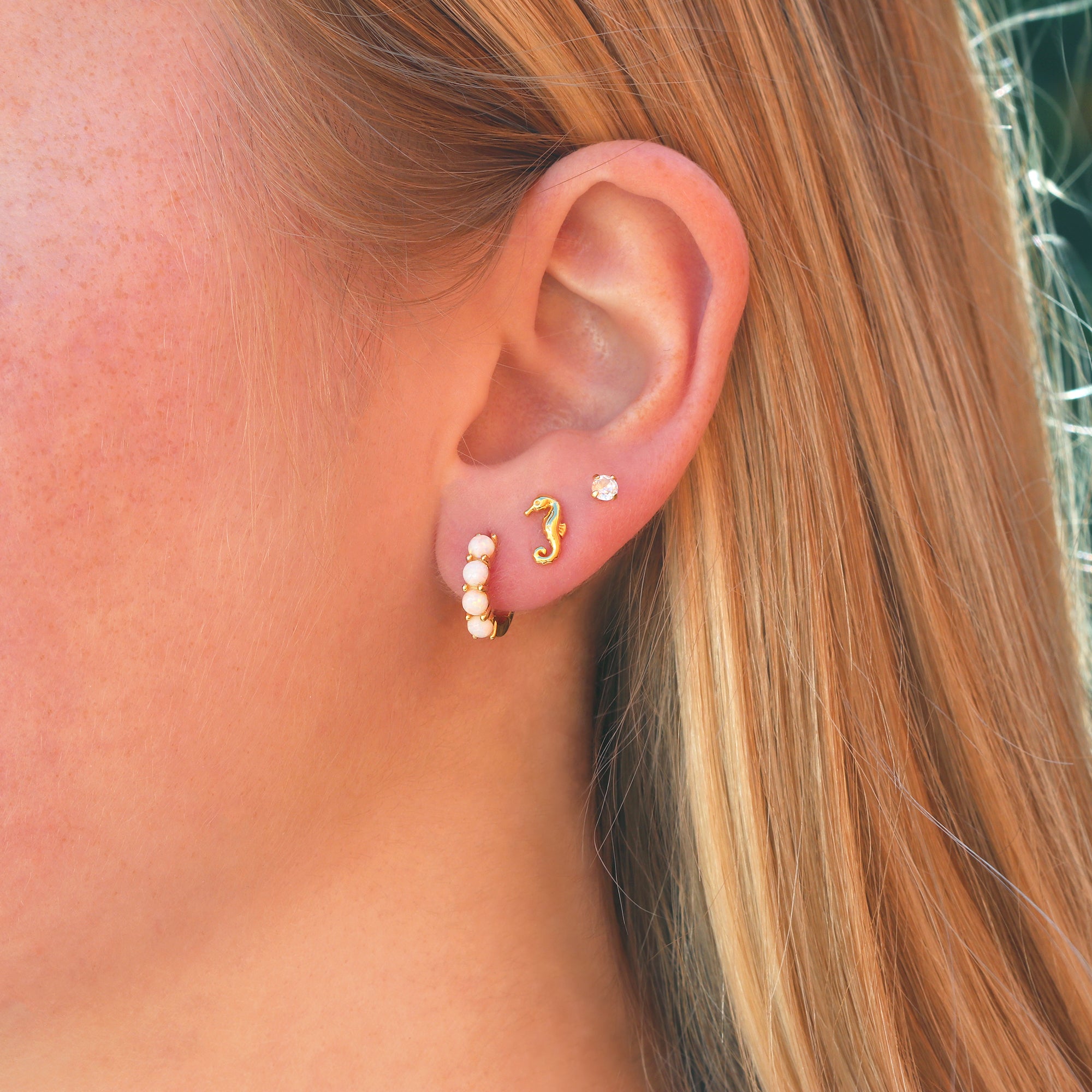 Seahorse Stud Earrings